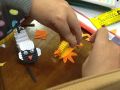 IMG 1069