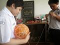 IMG 6917