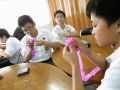 IMG 7197