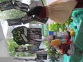 IMG 9272