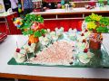 pjcc elementary day 2 17